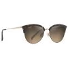 Lunettes De Soleil Maui Jim Olili Ecaille Bronze Hcl MauiBrilliant -Maui Jim 61fcbbb678784234a8748ccd0831fe78e51a0b1a E23MAUILUN352287 MAUI0213976 0